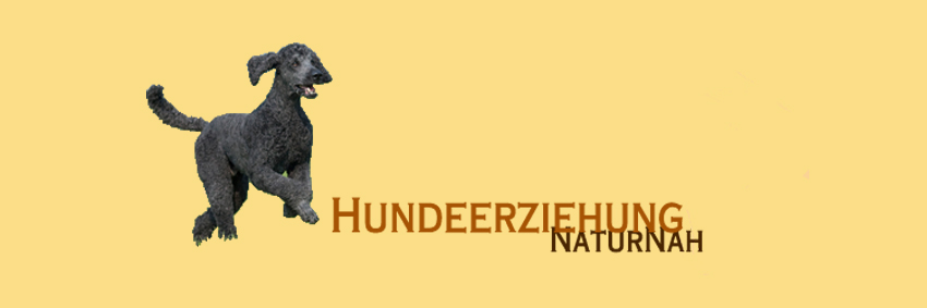 Hundeerziehung NaturNah